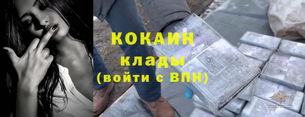 бошки Бронницы