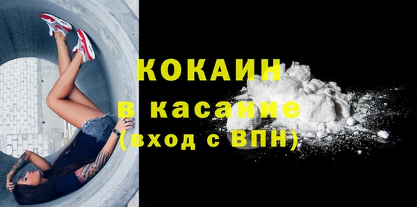 бошки Бронницы