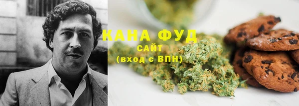 хмурый Бородино
