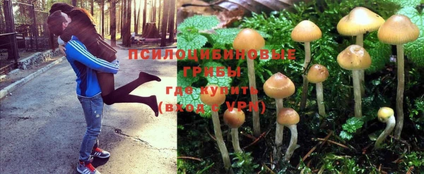 бошки Бронницы