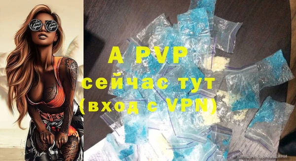 хмурый Бородино