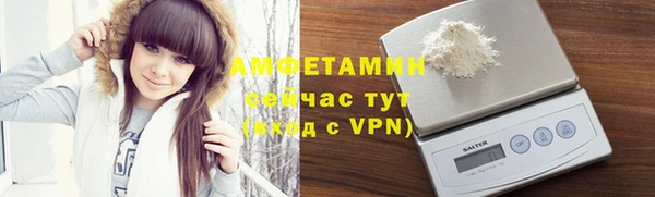 хмурый Бородино