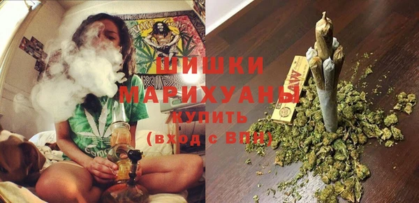 хмурый Бородино