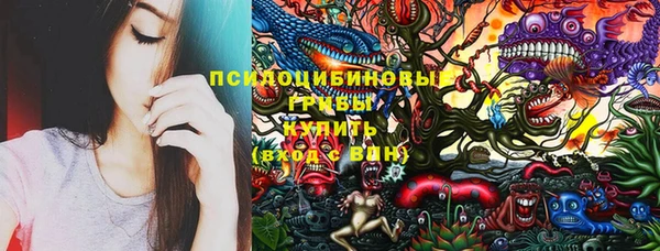 бошки Бронницы