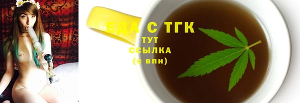 хмурый Бородино