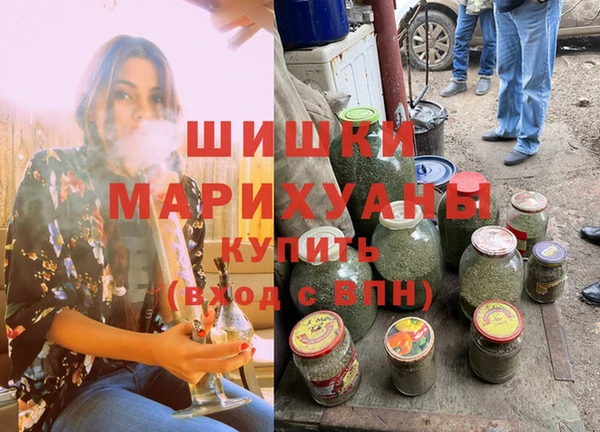 бошки Бронницы