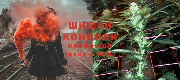 хмурый Бородино