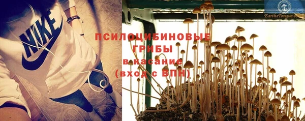 хмурый Бородино