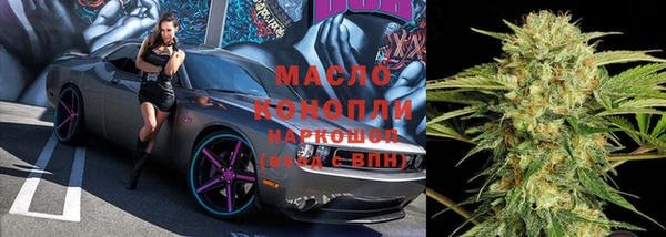 хмурый Бородино