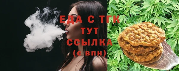 хмурый Бородино