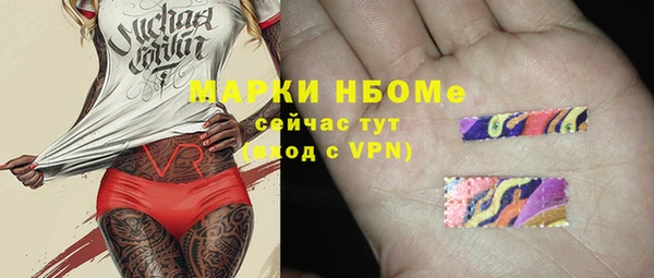 хмурый Бородино