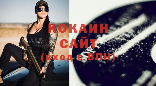 бошки Бронницы