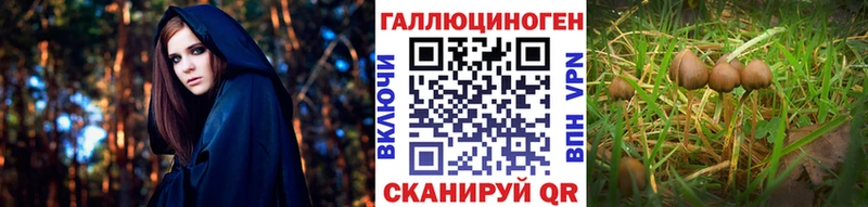Галлюциногенные грибы прущие грибы  Екатеринбург 